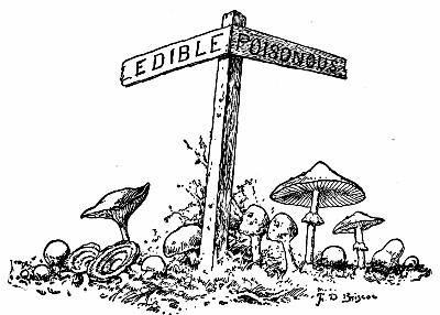 A black and white sketch of a signpost, to the left it's written 'Edible', to the right it's written 'Poisonous'