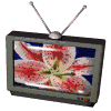 a CRT tv displaying some flowers
